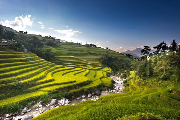 business case for regenerative agriculture