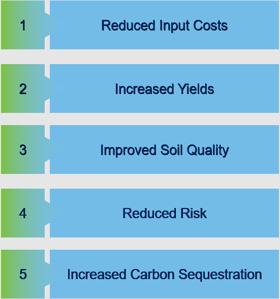 5 Reasons Why Regenerative Agriculture is Economically More Effective