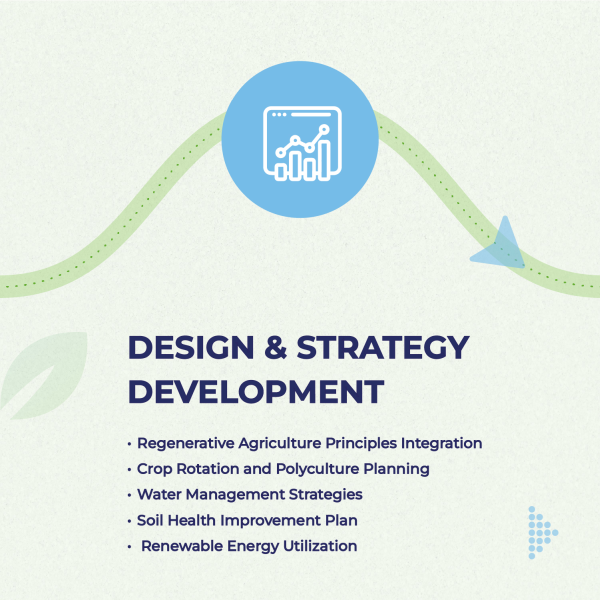 Design & Strategy Development