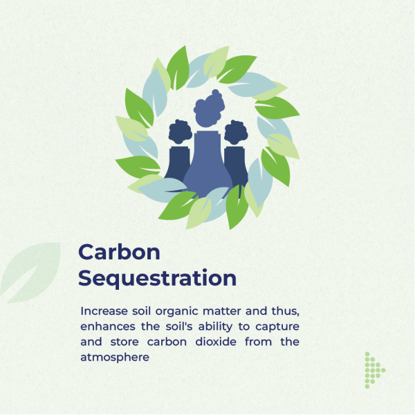 Carbon Sequestration