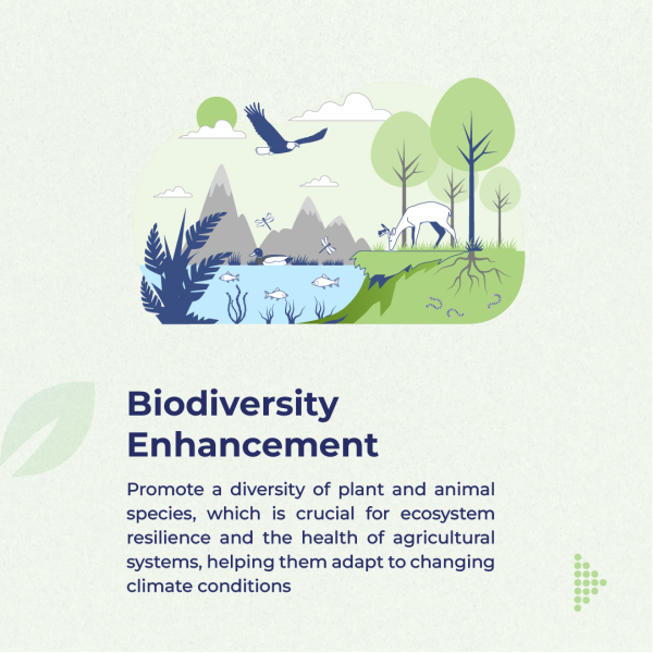 Biodiversity Enhancement