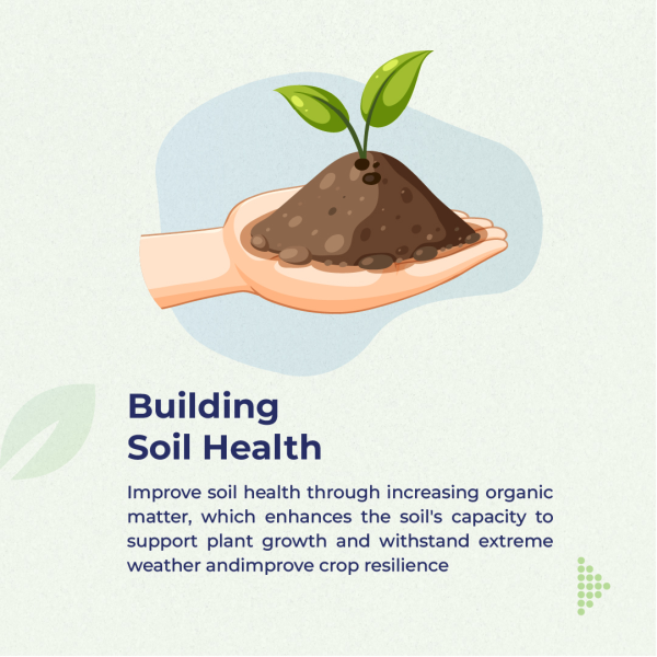 Building Soil Health