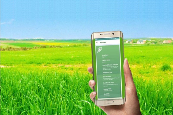 Leveraging Mobile Technology for Agricultural Information and Education