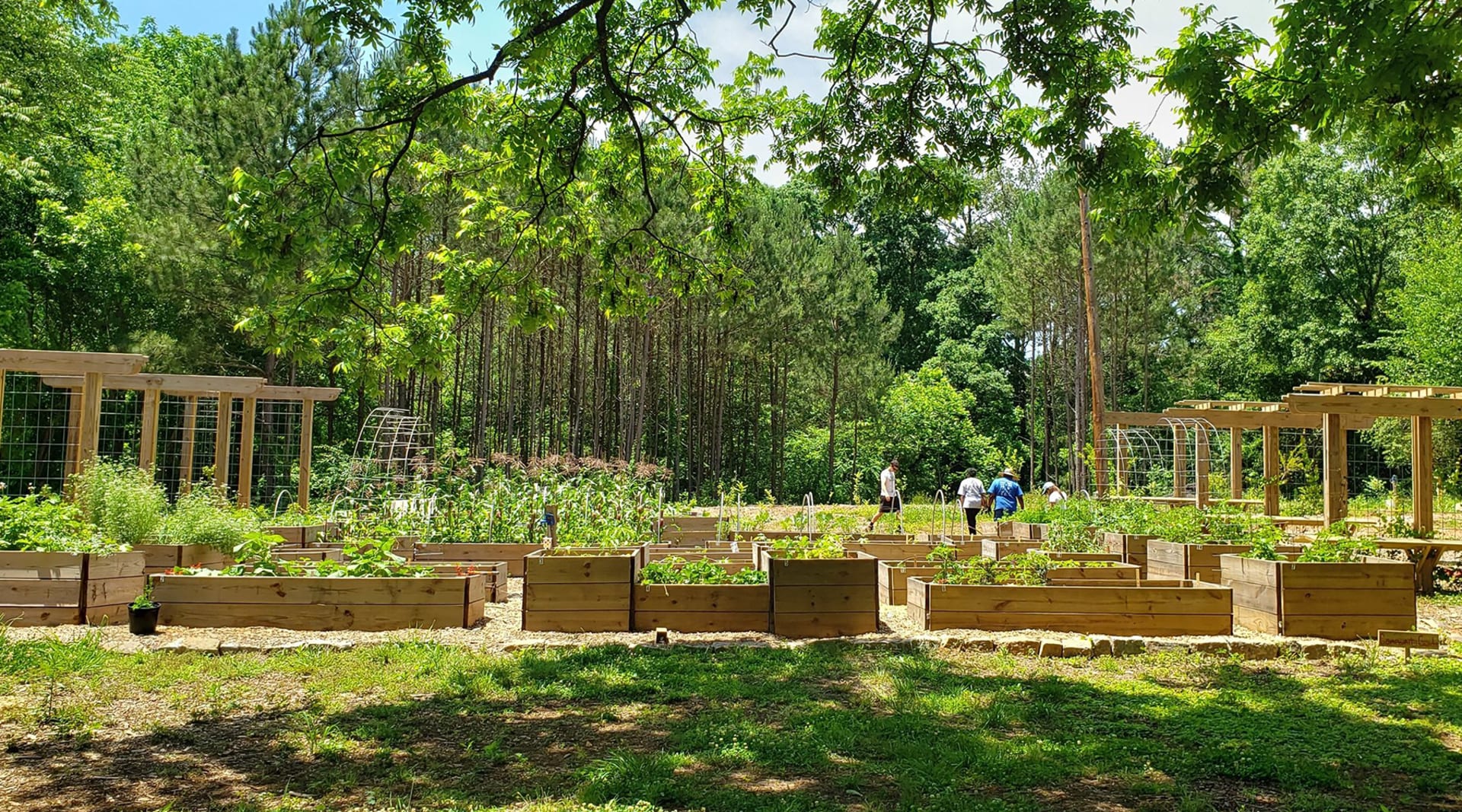 Urban Planning for Regenerative Suburbs with Food Forests