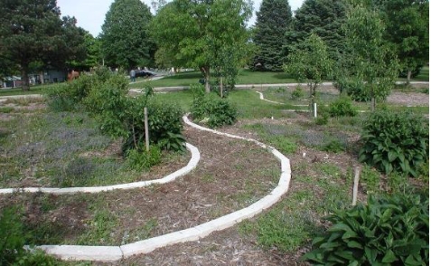  Wetherby Edible Forest Site Second Level Pathway (Credit: University of Georgia) 