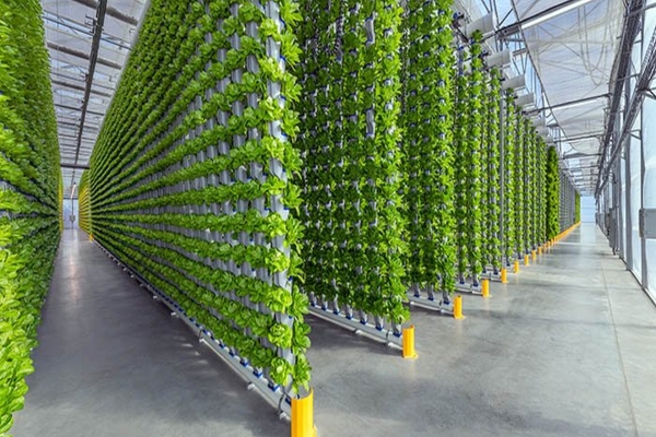 Evaluating the Role of Vertical Farms in Sustainable Planning