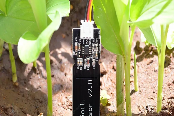 Moisture Sensors: A Key Tool in Regenerative Agriculture