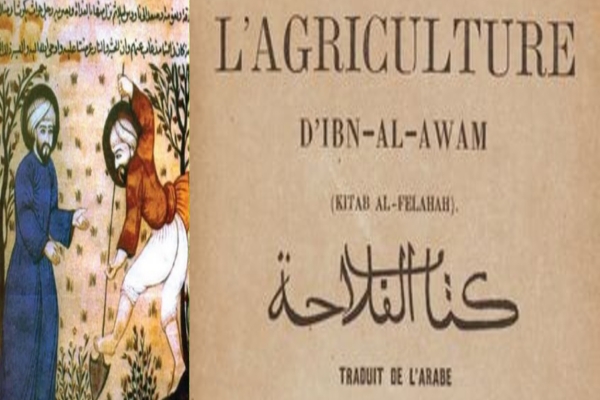 Ibn al-Awwam al-Ishbili: Muslim Agriculture Scholar